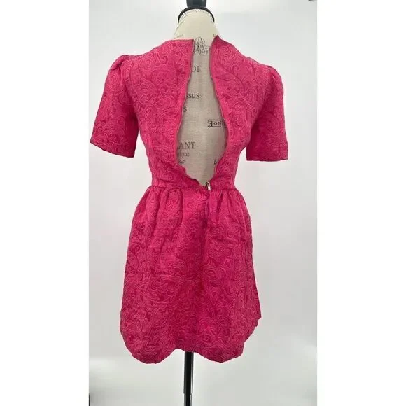 H&M Pink Lace Embroidered Flutter Sleeves Crewneck Flared Mini Dress US 4 - Picture 3 of 12